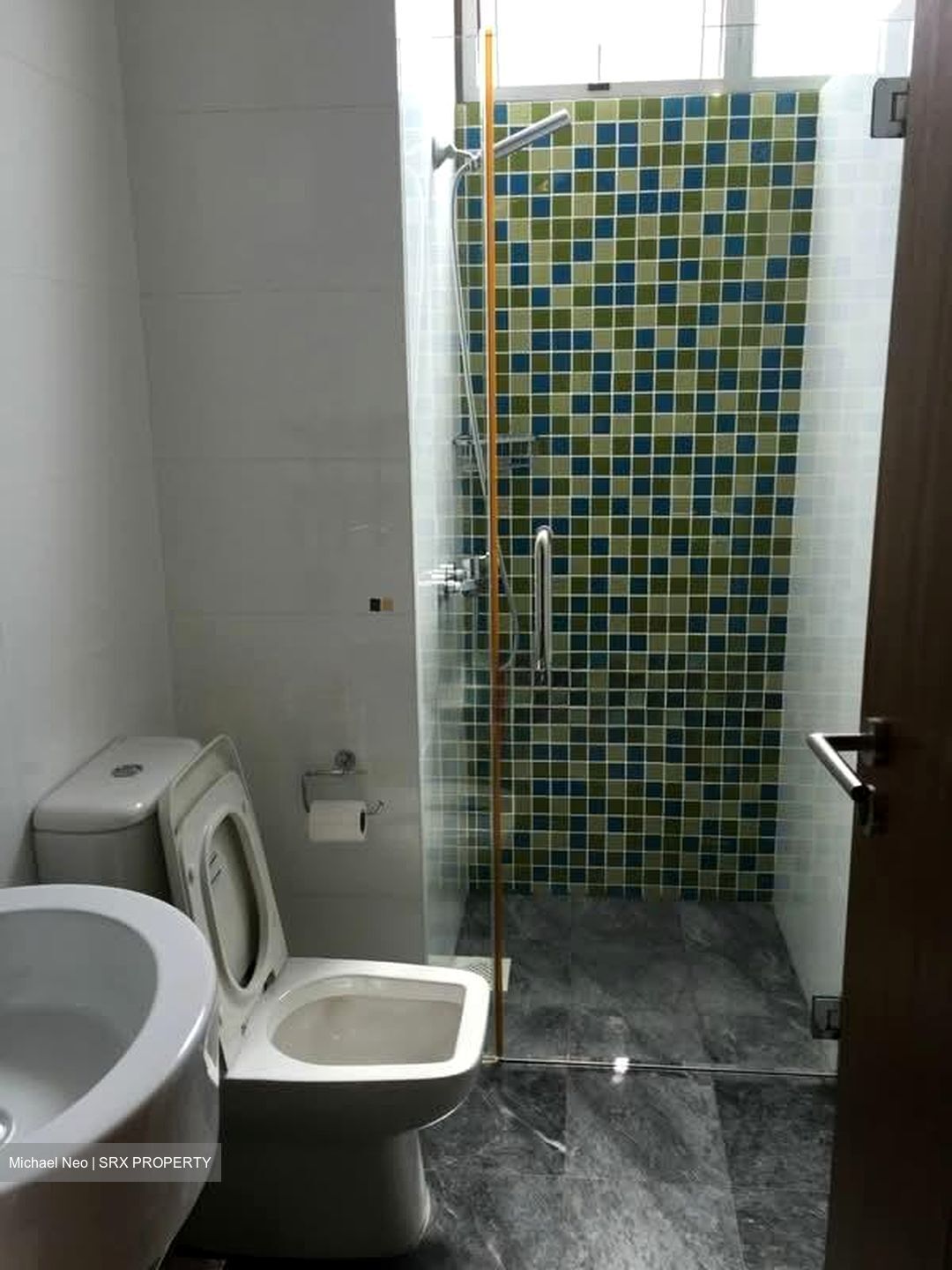 Mill Point (D10), Apartment #586129331